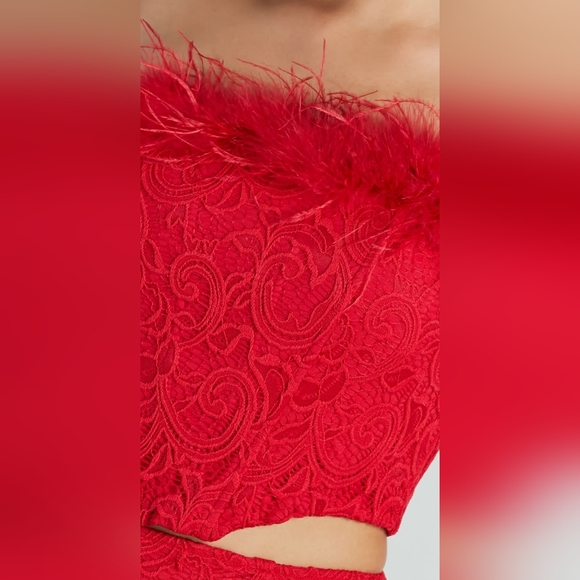 RED - Floral Lace Marabou Bustier - Picture 3 of 5